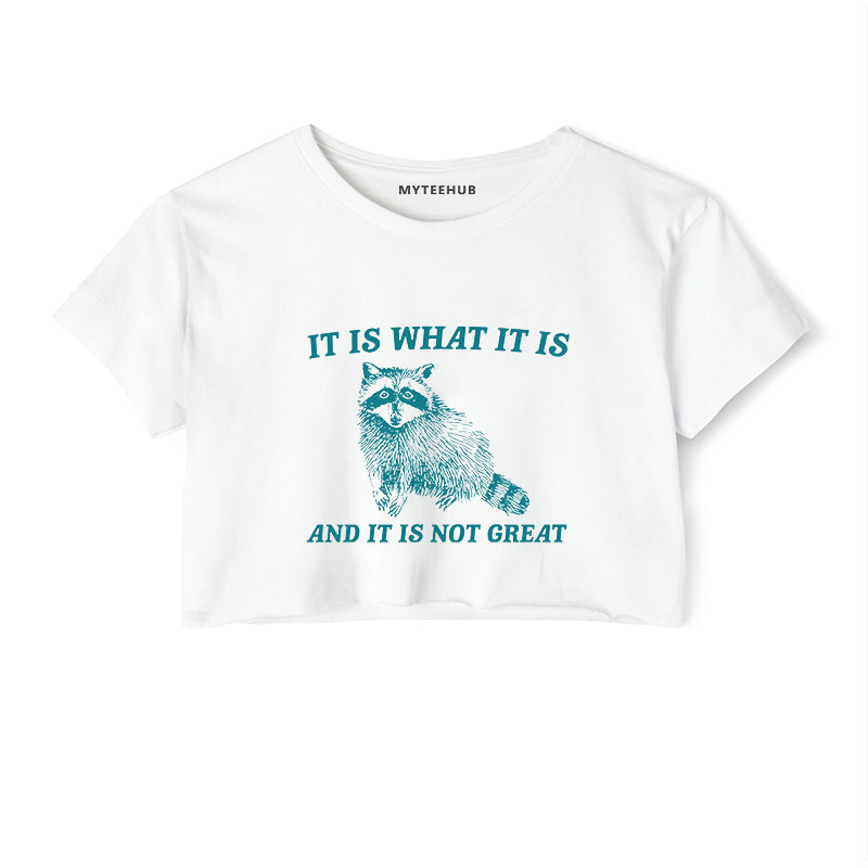 It Is What It Is And It Is Not Great Funny Gift Tee