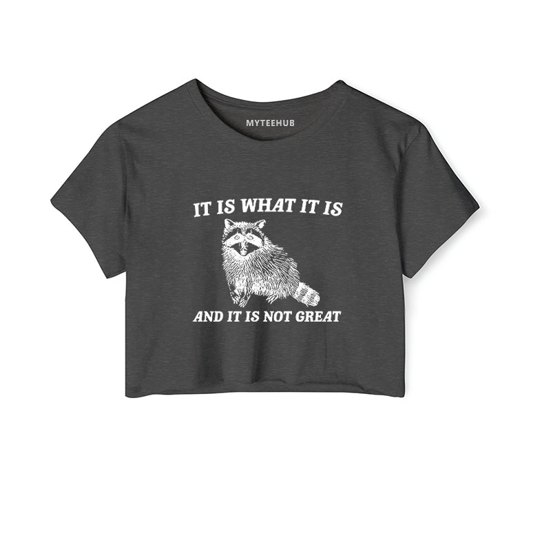 It Is What It Is And It Is Not Great Funny Gift Tee