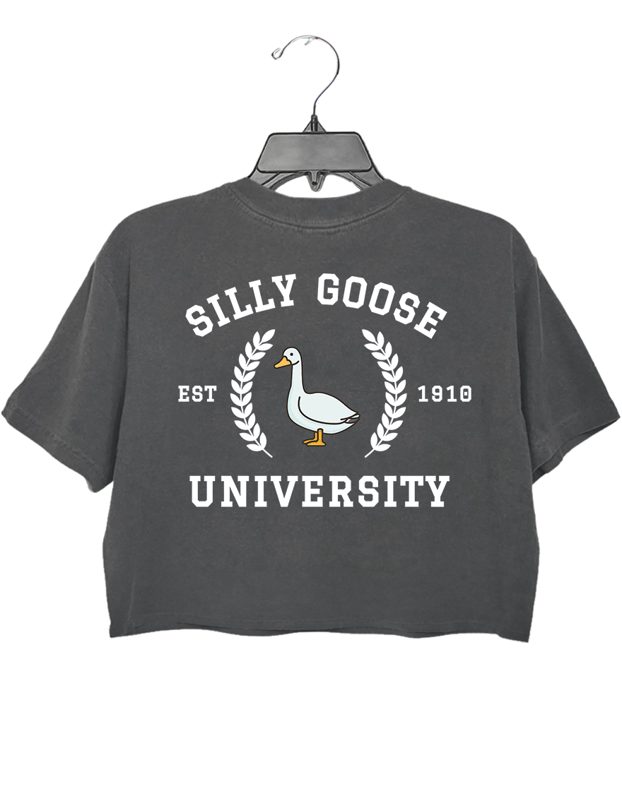 Silly Goose University Crop Top