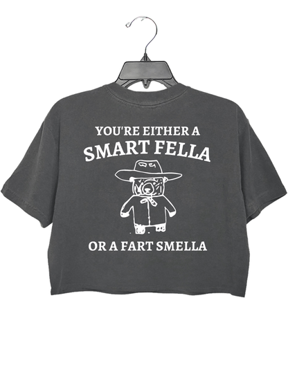 Are You A Smart Fella Or Fart Smella_ Crop Top