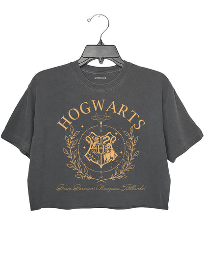 Hogwarts House Crop Top