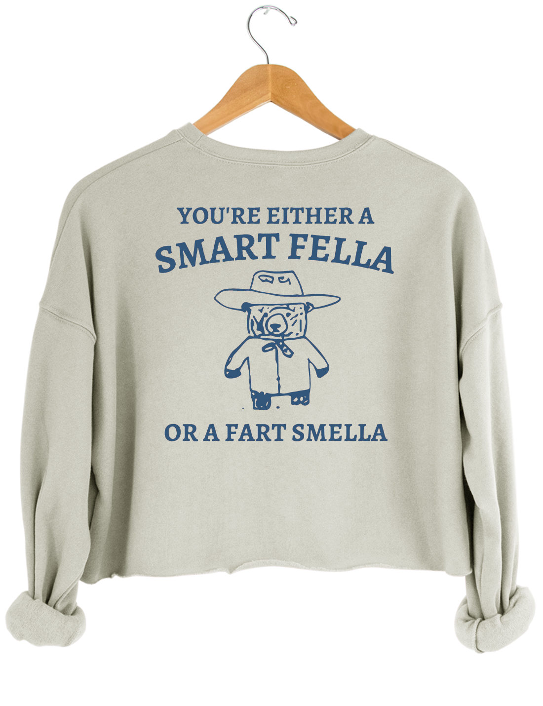 Are You A Smart Fella Or Fart Smella_ Crop Top